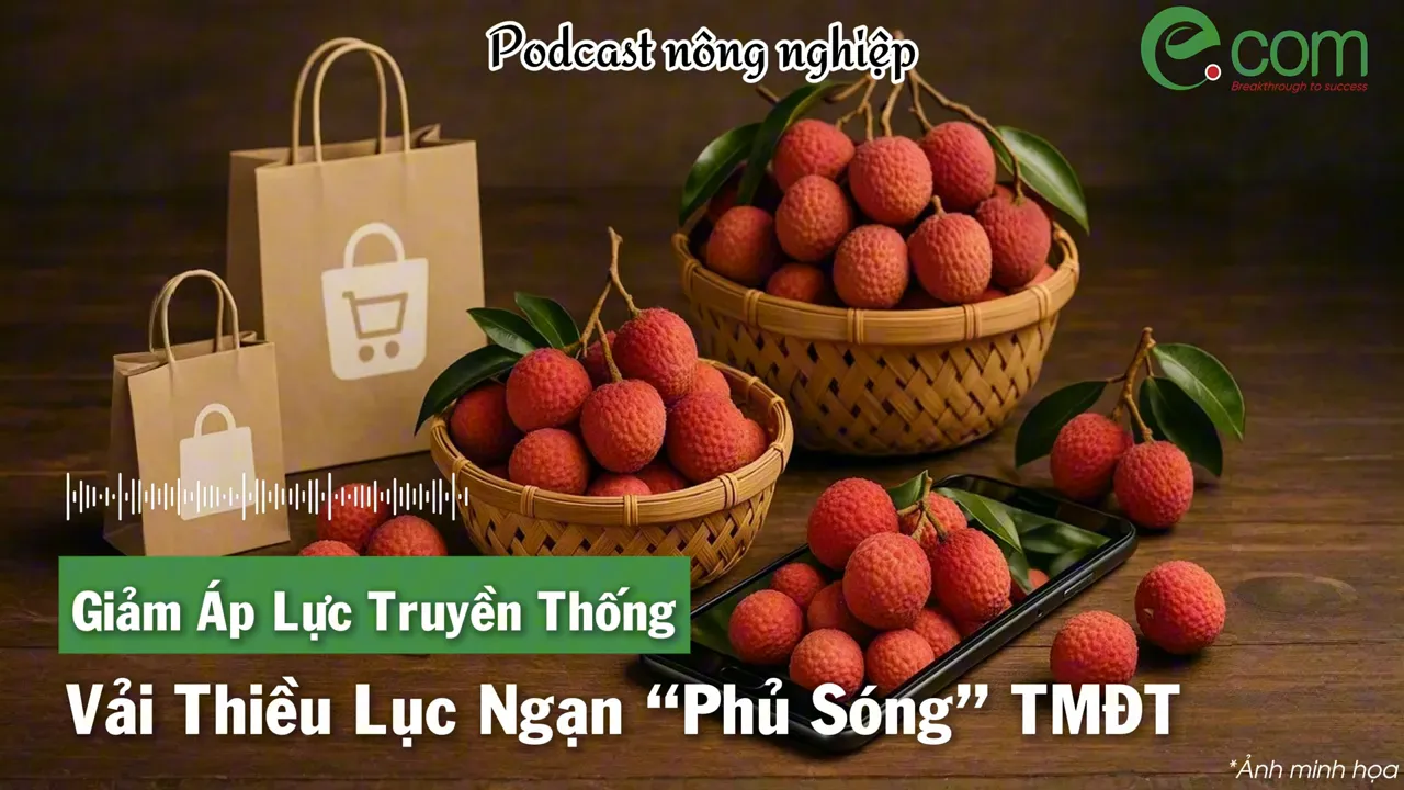 Bán vải thiều Lục Ngạn trực tuyến: bài học lên sàn